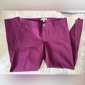 Banana Republic Sloan Skinny Fit Zipped Pant size 8 - NWT